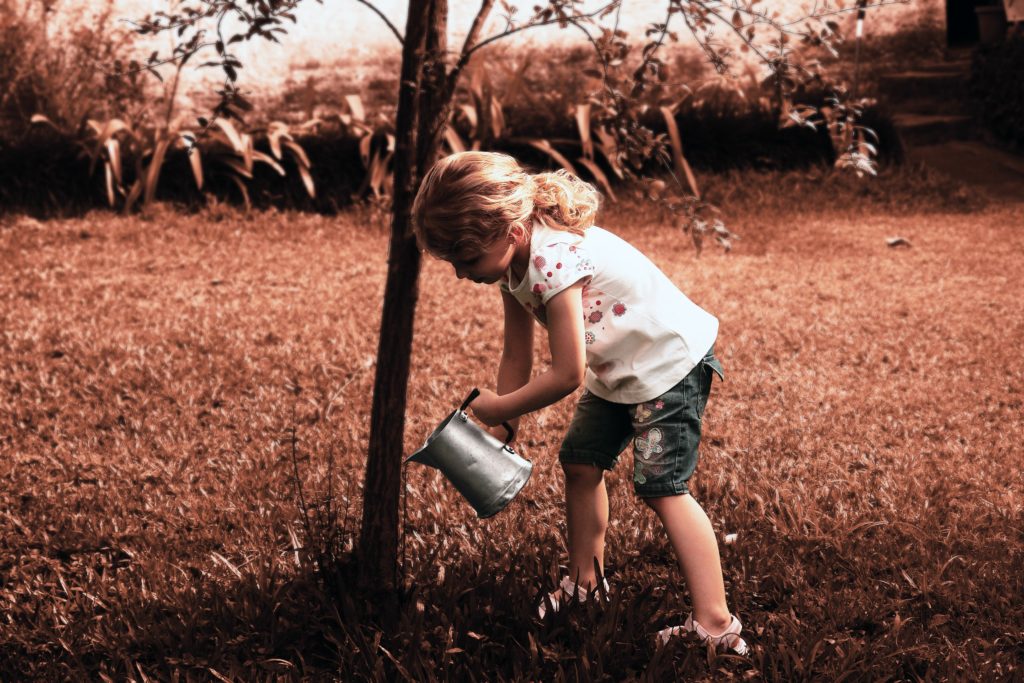 Girl watering tree, akin to parents nurturing the minds of their children.  Time to talk about speech & language therapy tips!