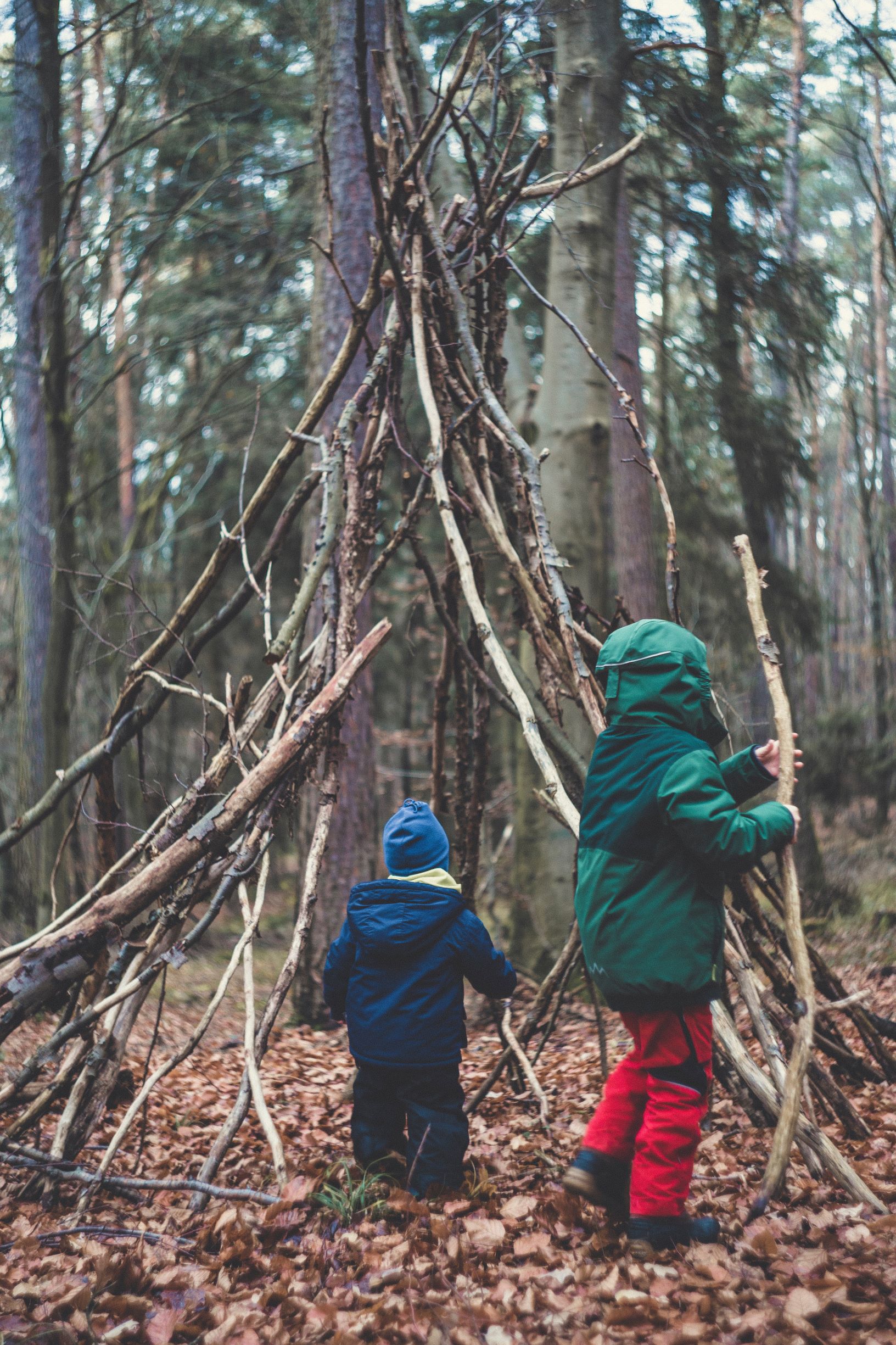 Two children building a fort from sticks, similar to how children build language and literacy skills stick by stick.