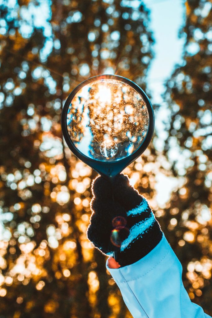 Nature, specifically trees, magnified through magnifying glass.  Comparing visual to how words can be magnified and broken apart into sounds, or phonemes.